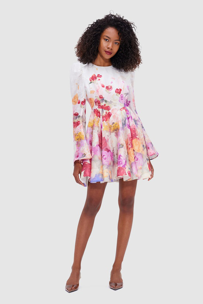 jordyn mini dress Ruffled Mini Dress
